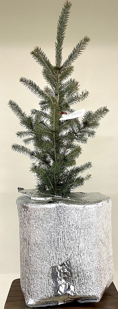 Flowers from Reuben and Pat Vollmer and Families