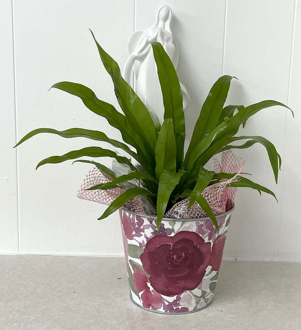 Flowers from Discount Fuel, Kadoka Oil - Mark and Tammy Carlson and Family