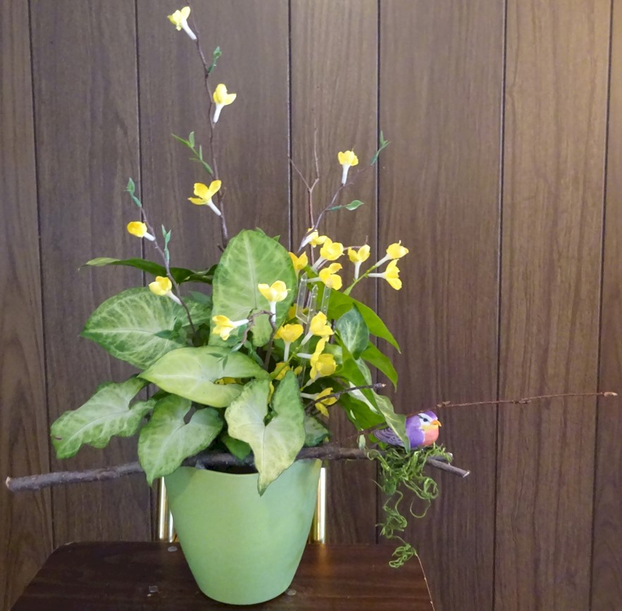 Flowers from Black Hills Federal Credit Union - Brandy, Ginger, and Mandi
