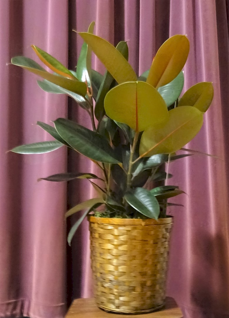 Flowers from Cam and Stevie; Shelby and Gunner, and Cami