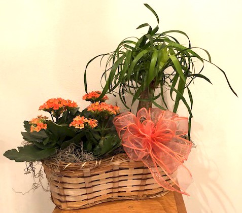 Flowers from Brett and Susan Swonger