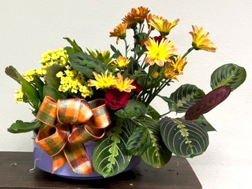 Flowers from Jane Pringle