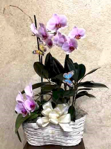 Flowers from Kent and Eileen Jordan and Family