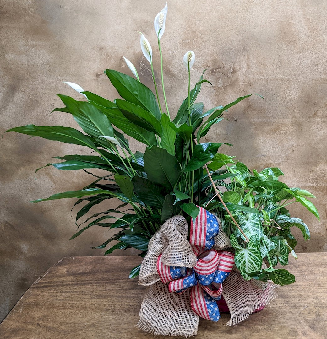 Flowers from Joe and Kathy; Kara and Gerry Moriarty; Jay Gittings; Mary and Danny Quinn; John and Emily Gittings; and all Families