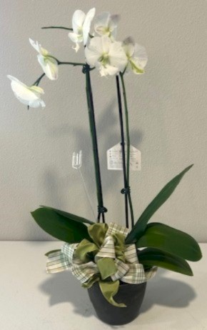 Flowers from All of us at the Wall School