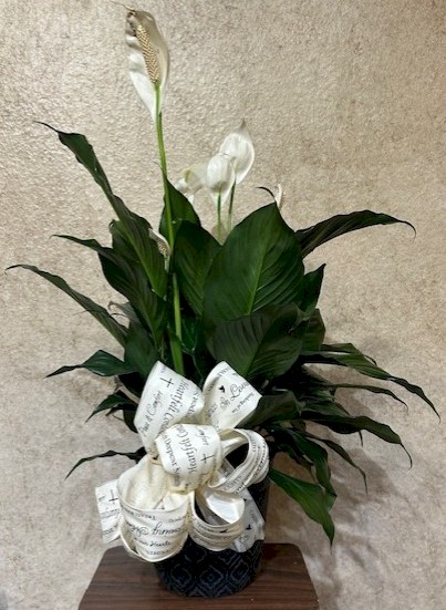 Flowers from The Bessettes: Orris, Amy, Berkely, and Caulder