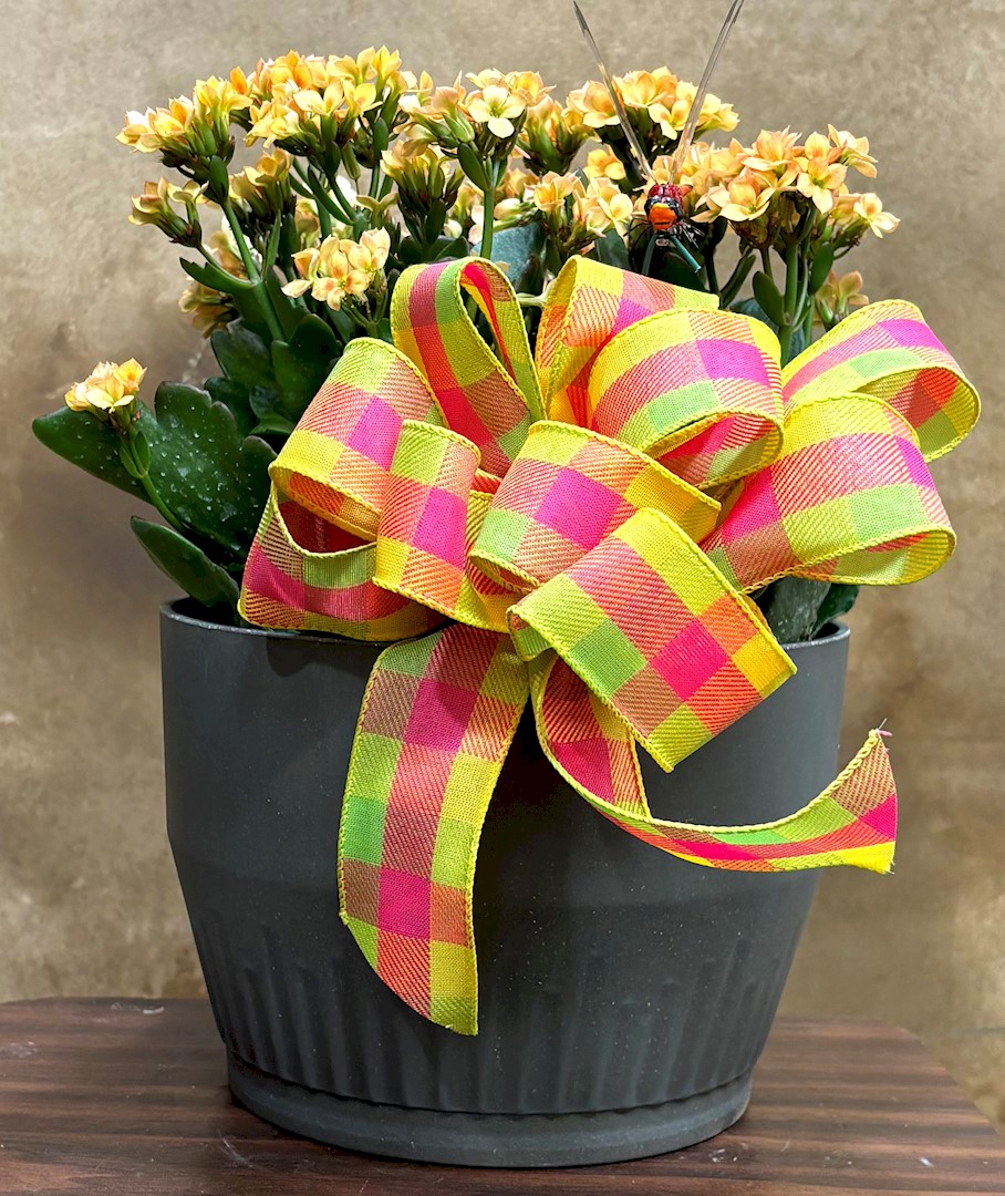 Flowers from Dan and Cindy Hauk