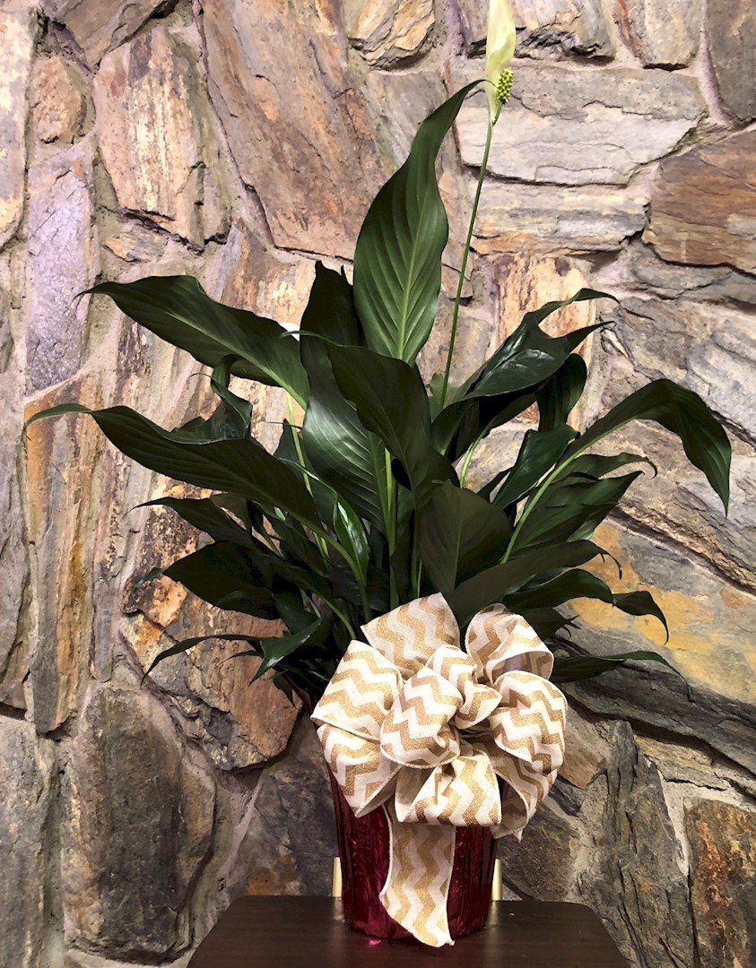 Flowers from Dwight, Marie, Sayde, and Emma Slovek