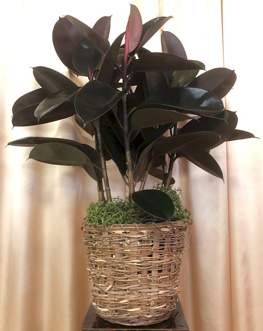 Flowers from Kadoka Nursing Home Staff, Residents, and Board of Directors
