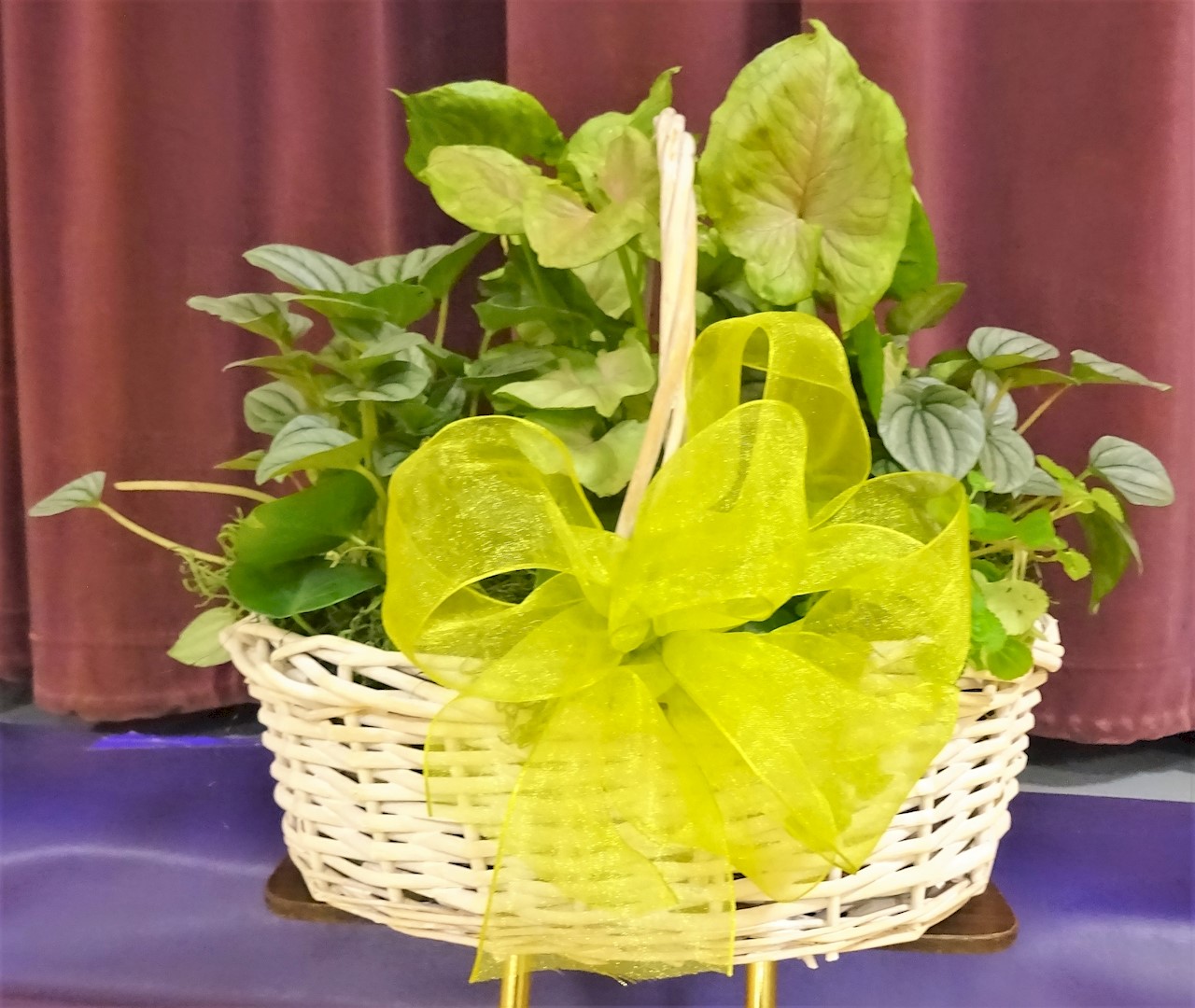 Flowers from Letoy's Family