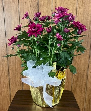 Flowers from Dakota Country Pharmacy