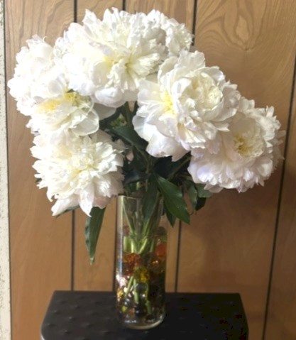 Flowers from Family