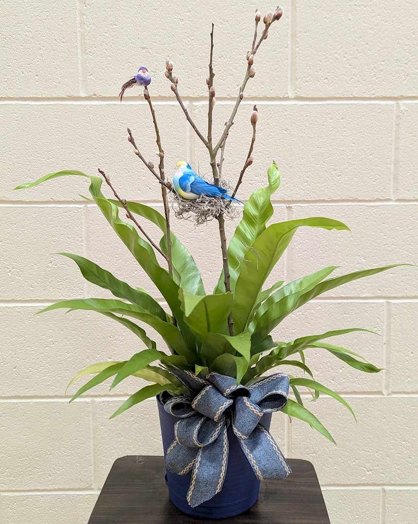 Flowers from Billy, Paula, Tyler, and Hannah Morrow