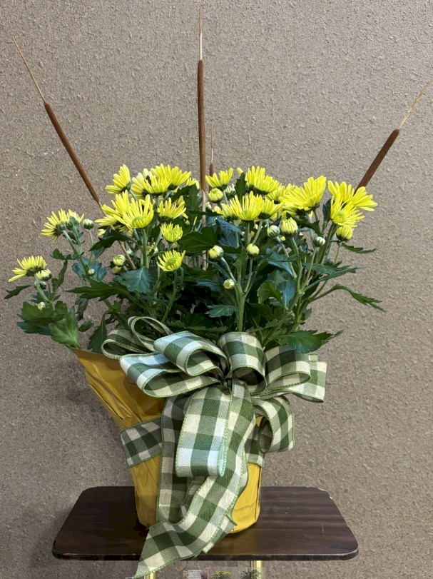 Flowers from Dan, Trudye, and Family