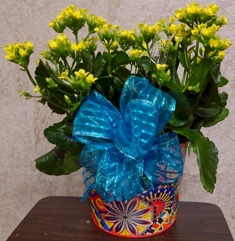 Flowers from Class of 2003