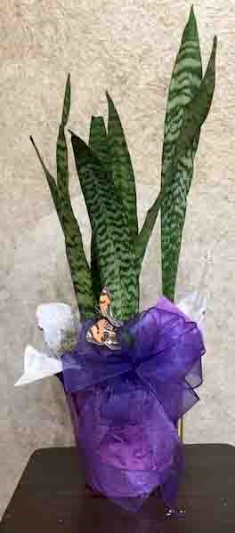 Flowers from Kevin and Roxanne Miller Family