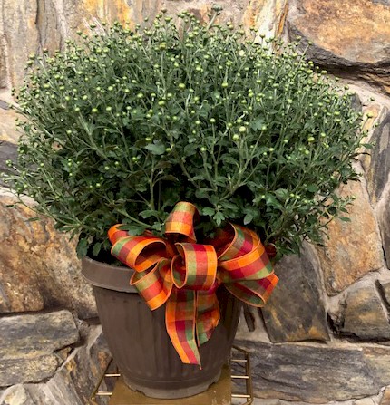 Flowers from Cindy and Richard