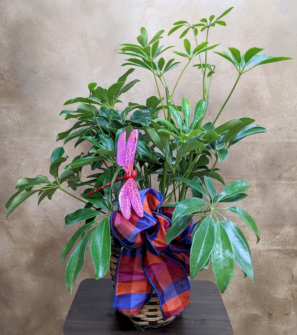 Flowers from Miles and Erin Hovland Family