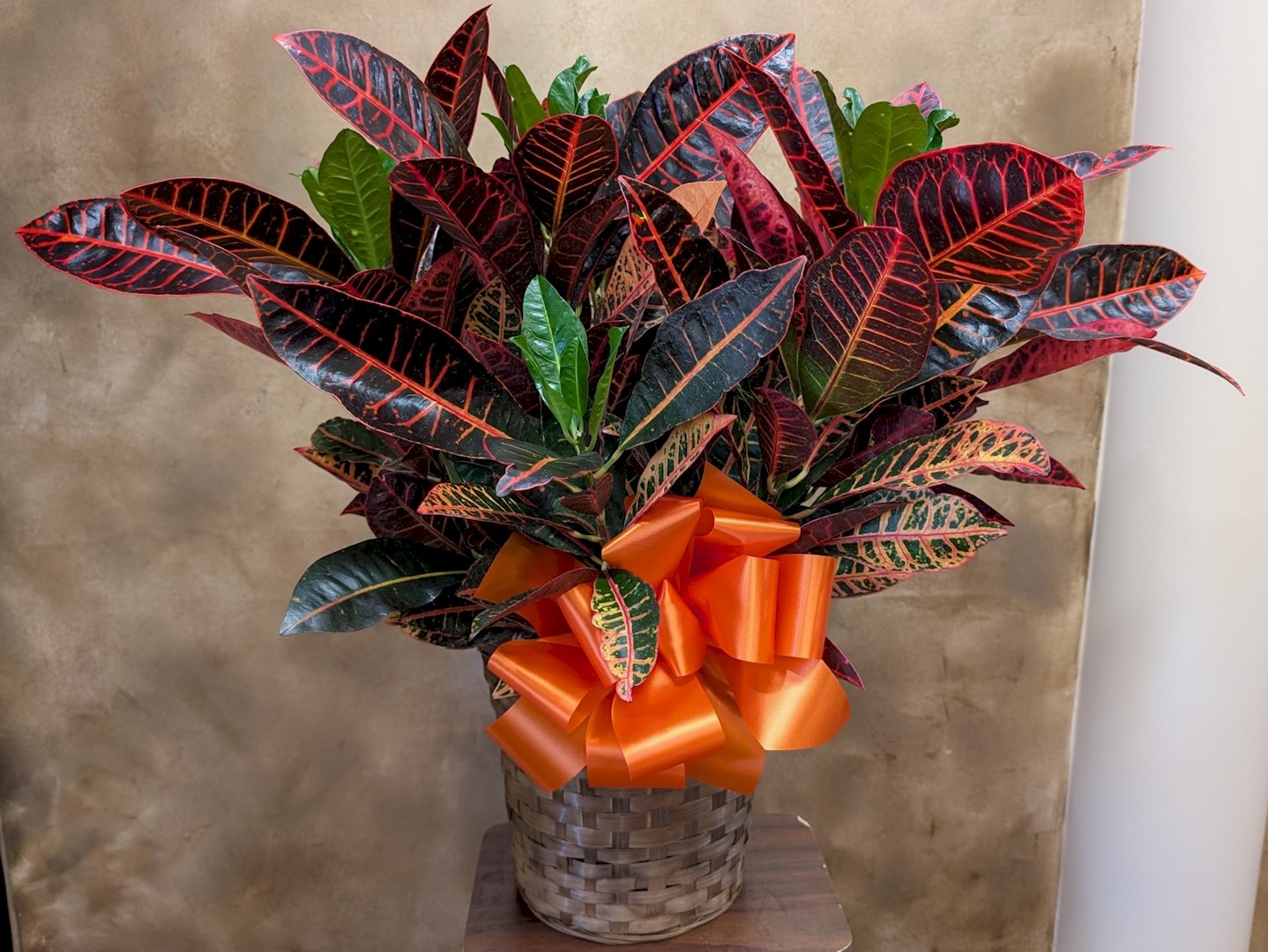 Flowers from Dave and Karleen Peterson