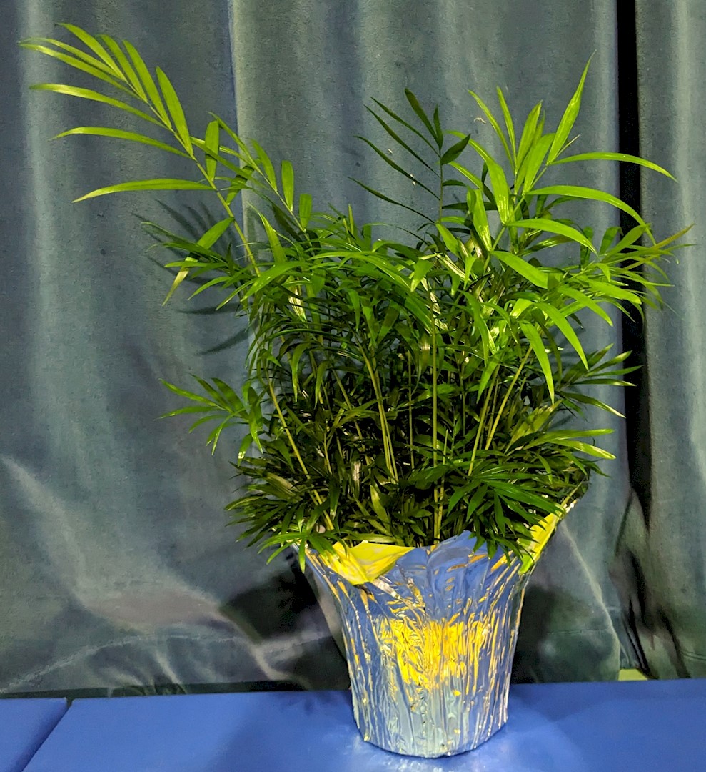 Flowers from Dakota State University football coaches, staff, and players