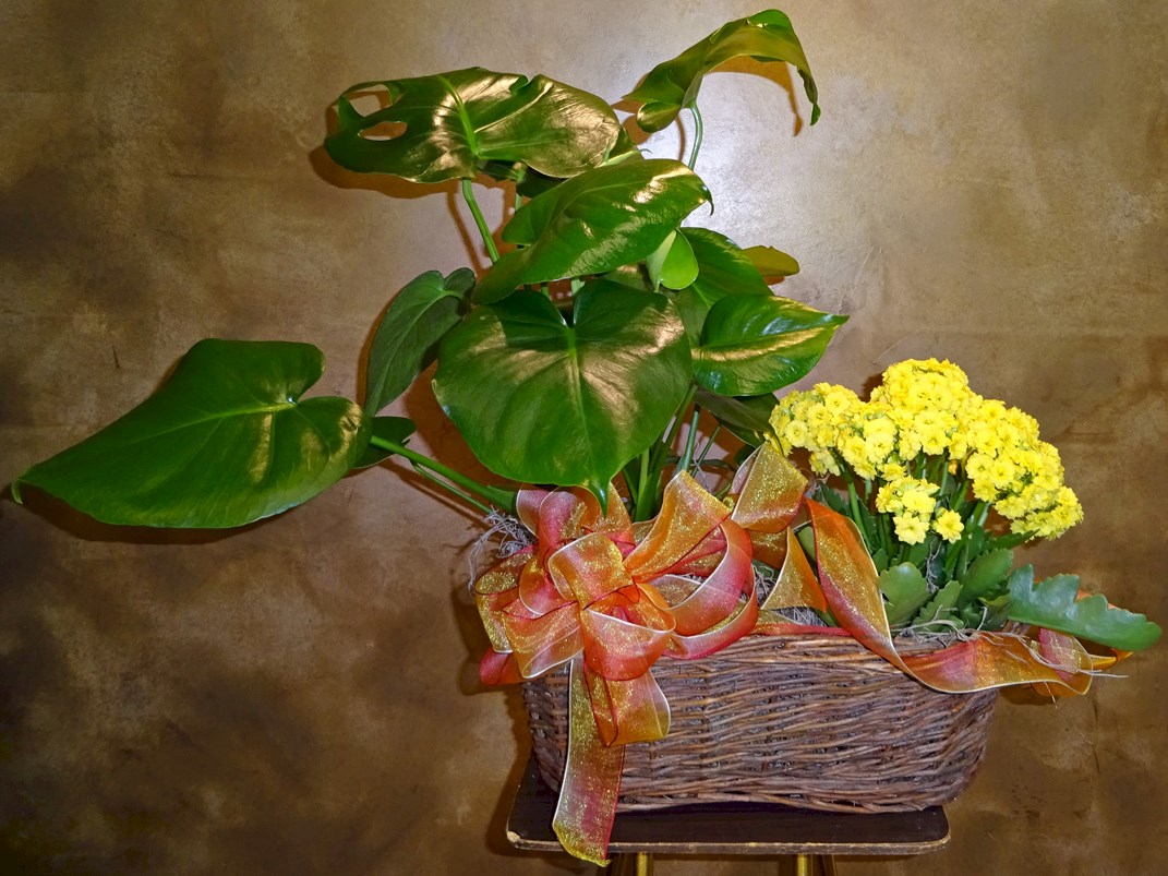 Flowers from Aaron, Angie, and Kids