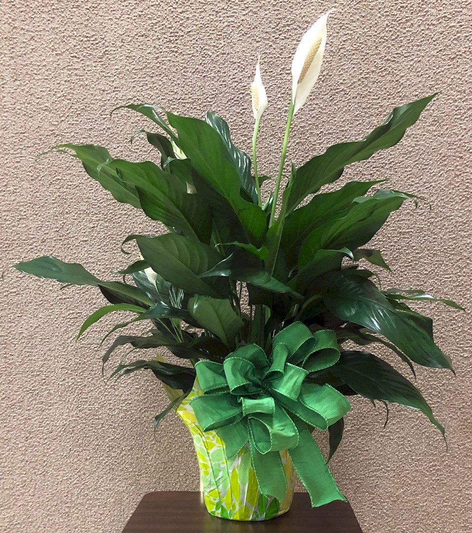 Flowers from The Scofields - Jim and Melissa; Nicole; and Zack and Lily