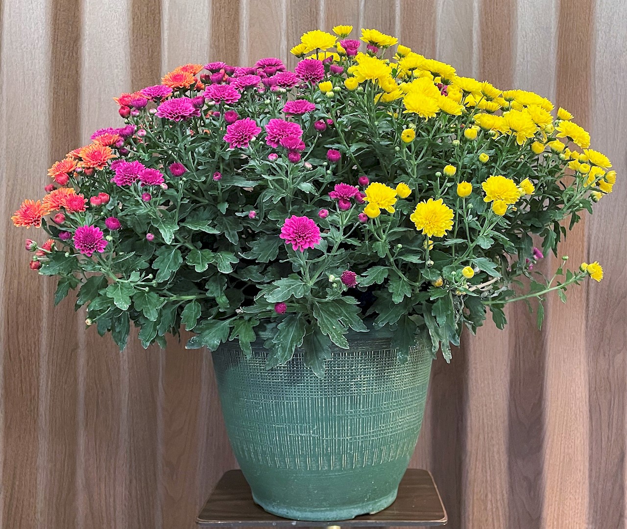 Flowers from Jim and Mary in Windom, Minnesota