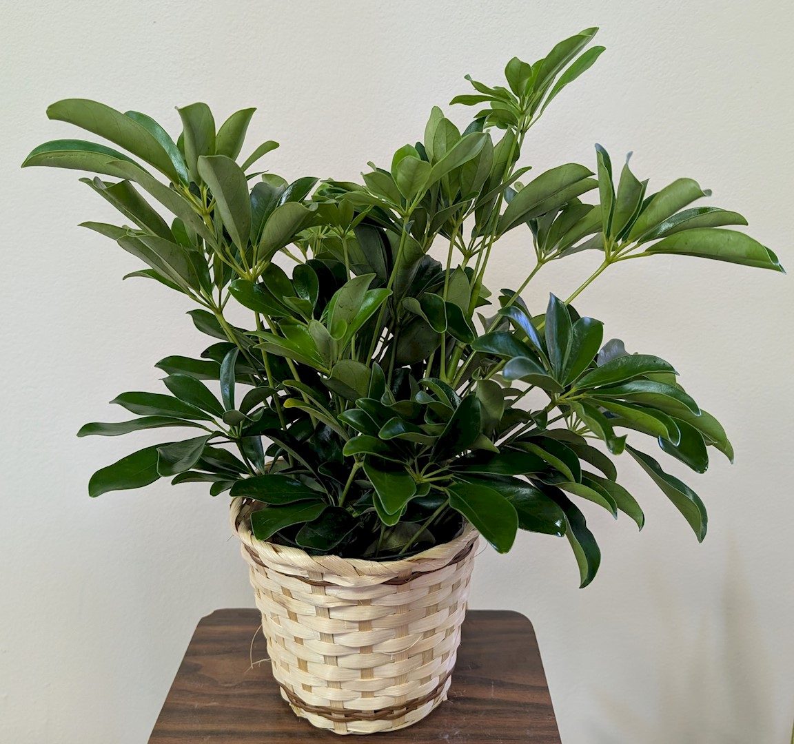 Flowers from Cally and Carter Uhlir and Family and Tracy and Elliot McQuirk and Family