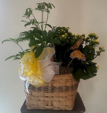 Flowers from M&M Sales - Mike and Rose, and Michael, Dana, and Family