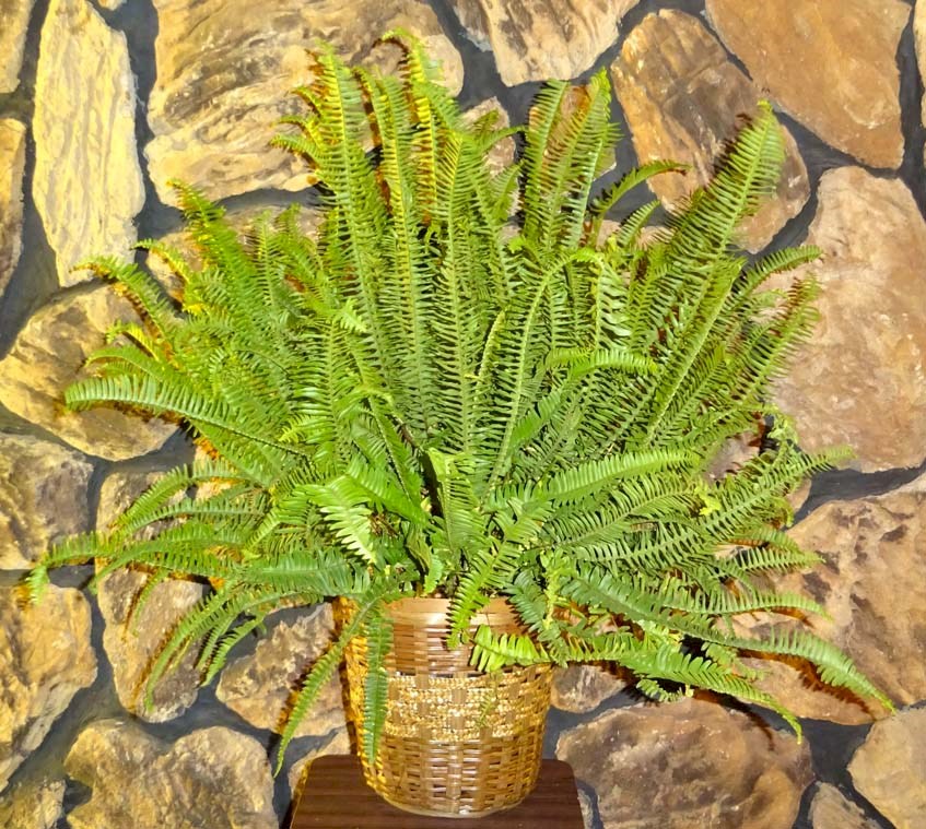 Flowers from Kadoka Ambulance