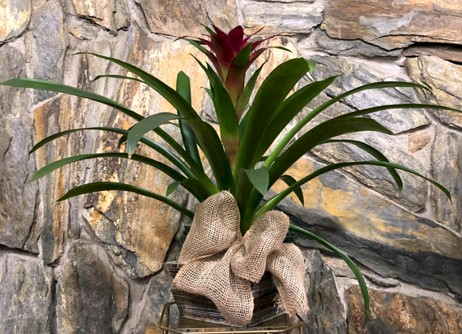 Flowers from Tyler and Angel Nemec and Family