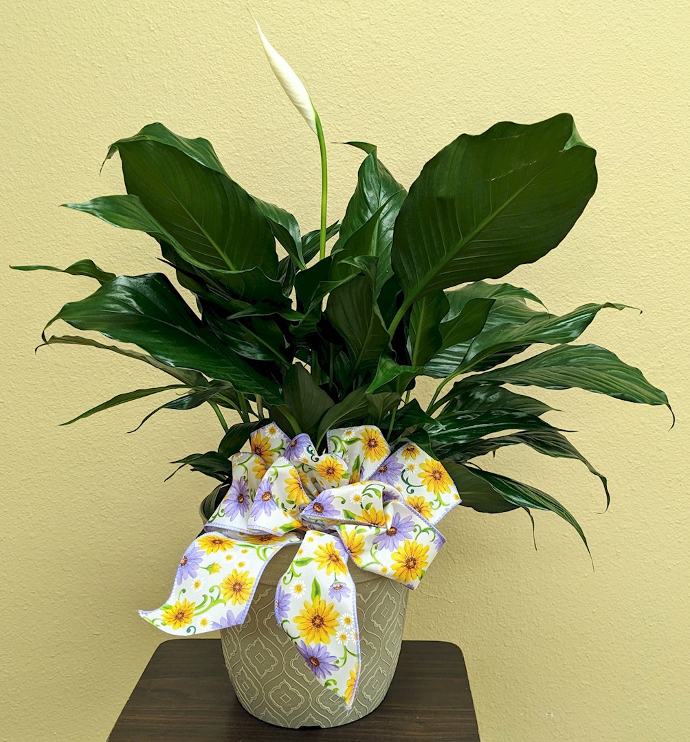 Flowers from Stulken, Petersen, LLP