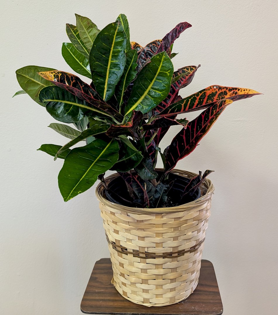 Flowers from KHS Class of 99