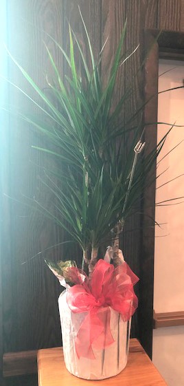 Flowers from The Staff at Scotchman Living Center