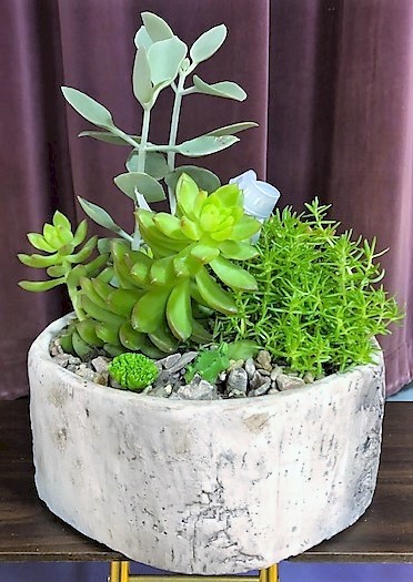 Flowers from Judy Kay and Families