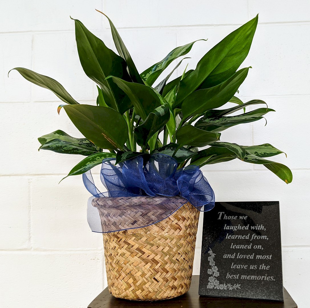 Flowers from Ed and Kathy and Susan Kary Family