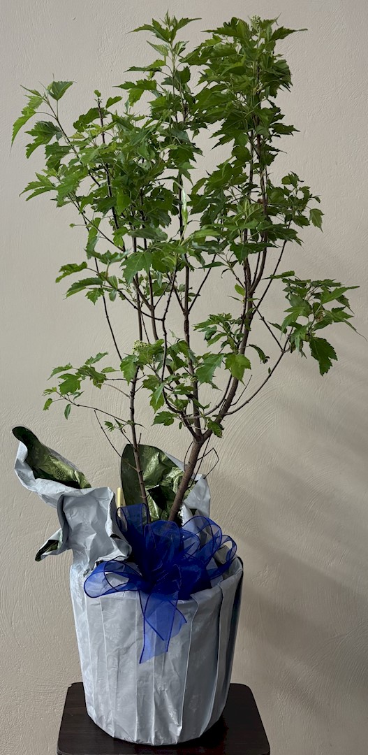 Flowers from Your KNH Family