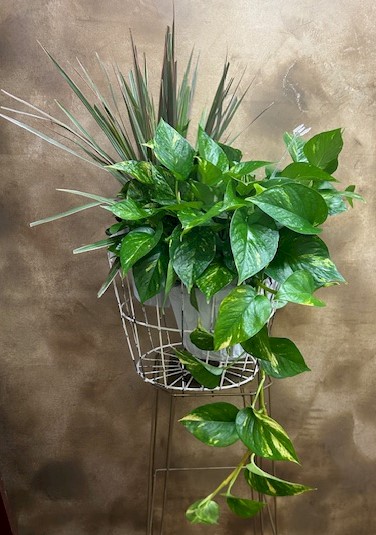 Flowers from The Smiths
Mel & Beth, Melan, 
Tara & Jamey, Lana & Heath and Families
