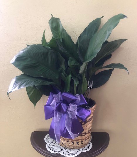 Flowers from Haakon School District
Sunshine Fund