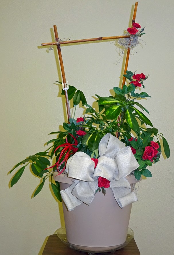 Flowers from K-Mart in Huron, South Dakota