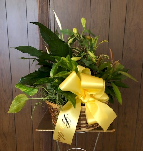 Flowers from Family - "Brother" - Diane