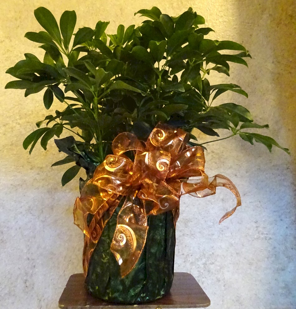 Flowers from Kent and Steph Kjerstad