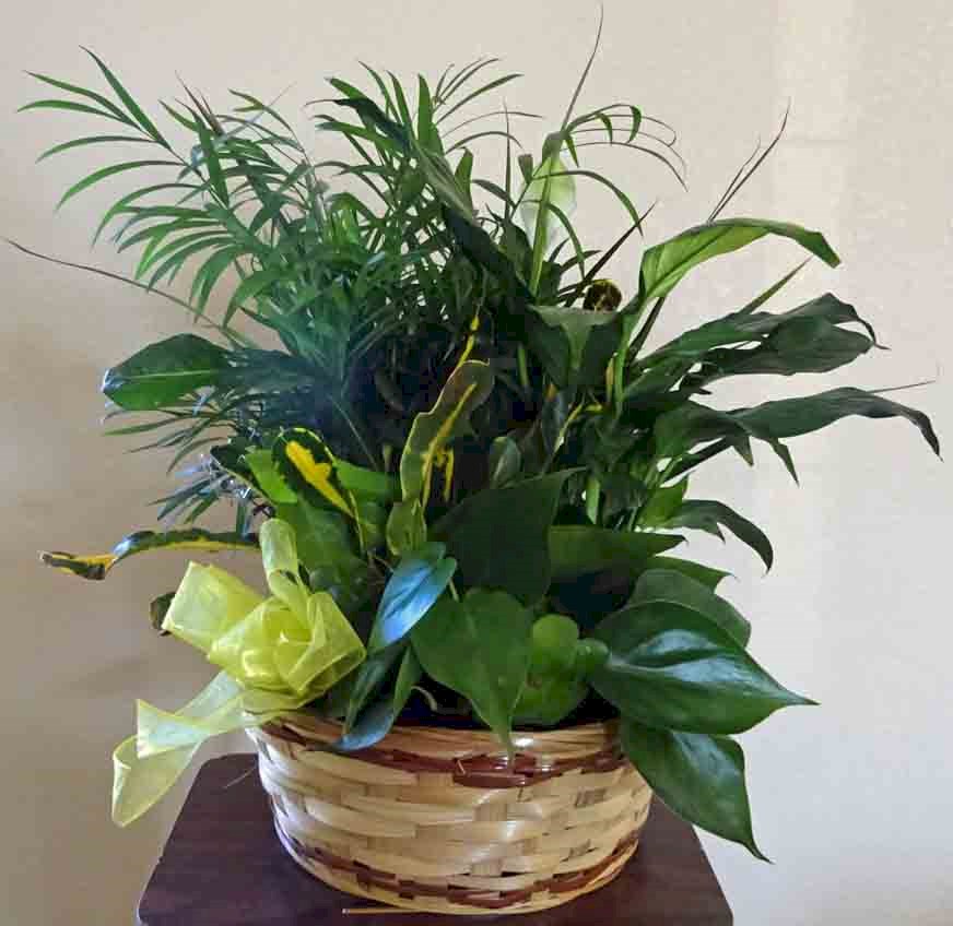 Flowers from Great Dane Trailers