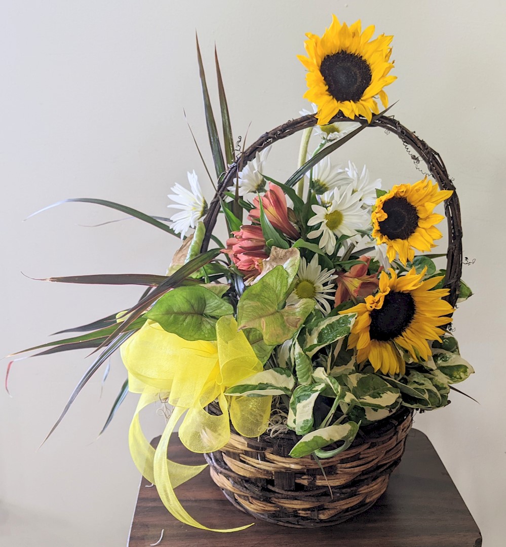 Flowers from Kirk, Craig, Sarah, Paula, Lana, Deb, Brittany, Sophia, Doug, and Dave - Spearfish Administrative Office