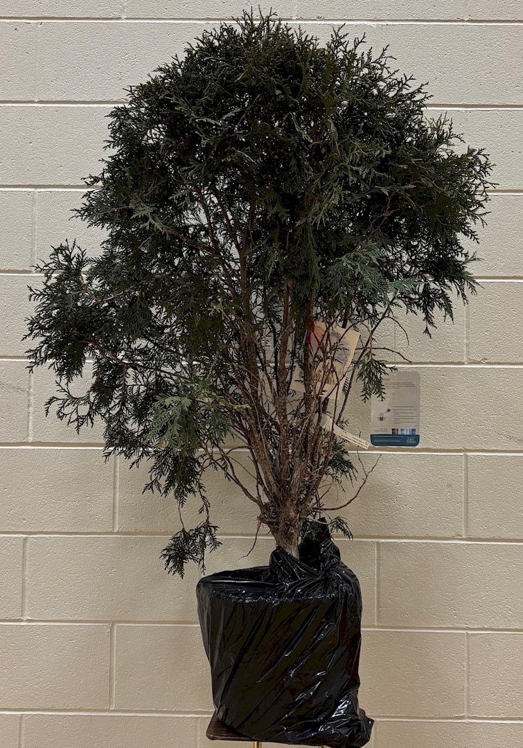 Flowers from Midland Fire Department