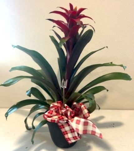 Flowers from Michael and Dana Luedeman Family