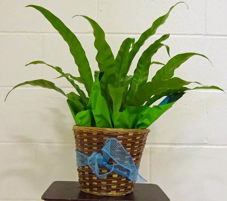 Flowers from Security 1st Bank