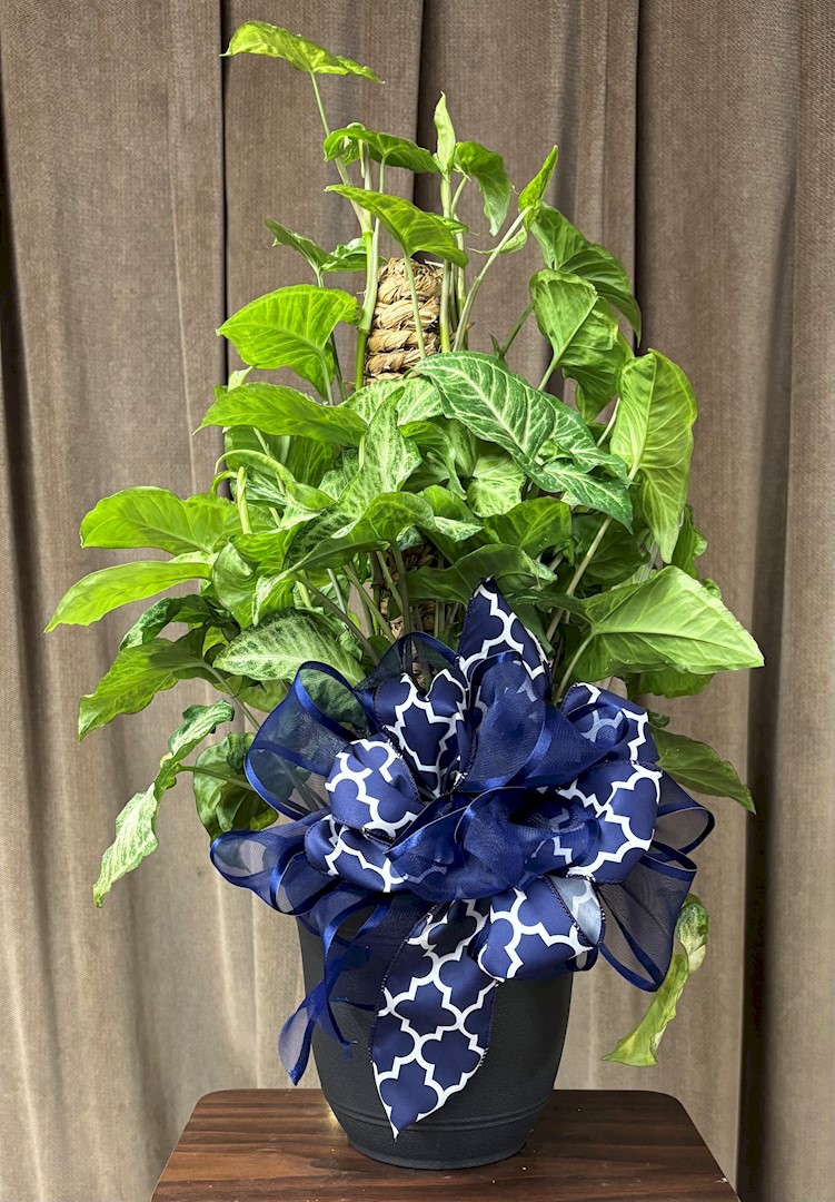 Flowers from JoDee and Grant; Jim and Jami; and Rocky and Ronelle