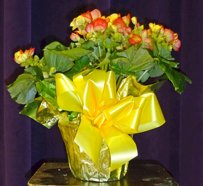 Flowers from Bob, Shandon, Derek, and Carson