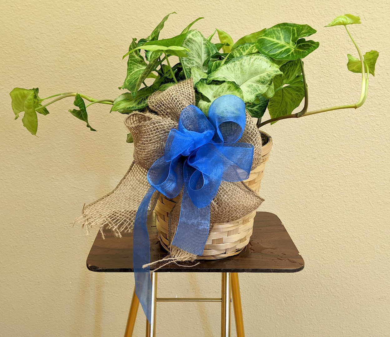 Flowers from John and Jennifer Layton